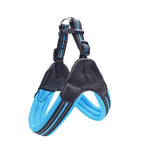 Pet Routice Leather Collar &amp; Leash