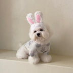 Tricot Little Ears