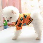 Tricot Pet Cactus