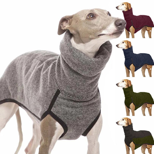 Roupinha Pet Galgo - Pet Croc