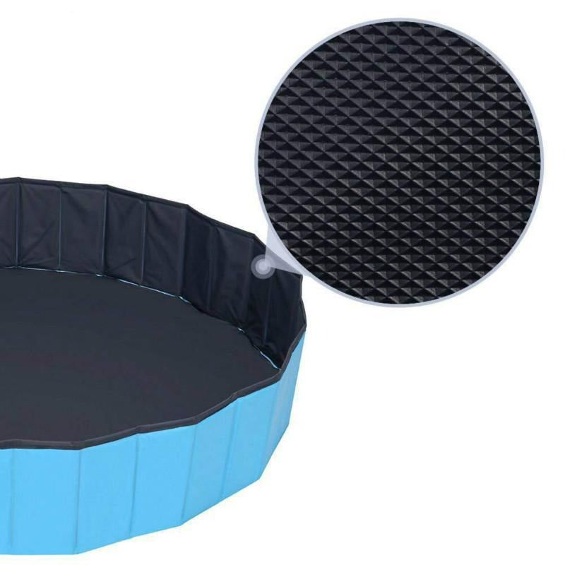 Swimming Pool Pet Club
