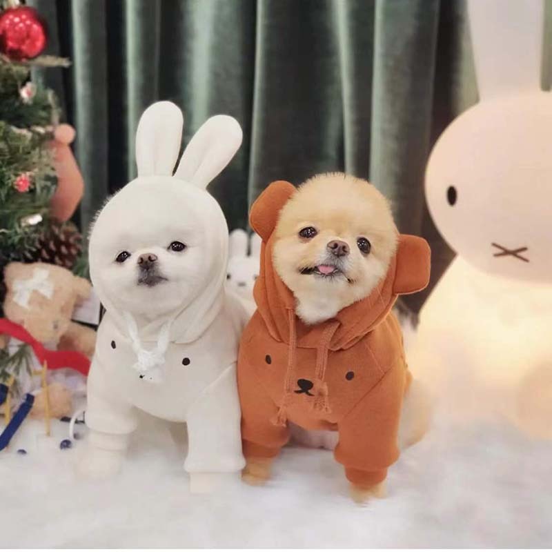 Cute Pet Sweatshirt
