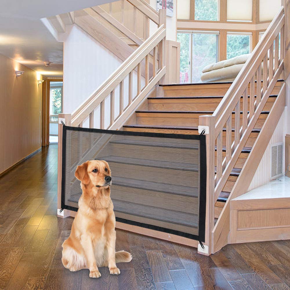Portable Palladium Security Gate