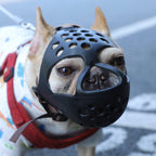 Breathable Anti-bite Muzzle