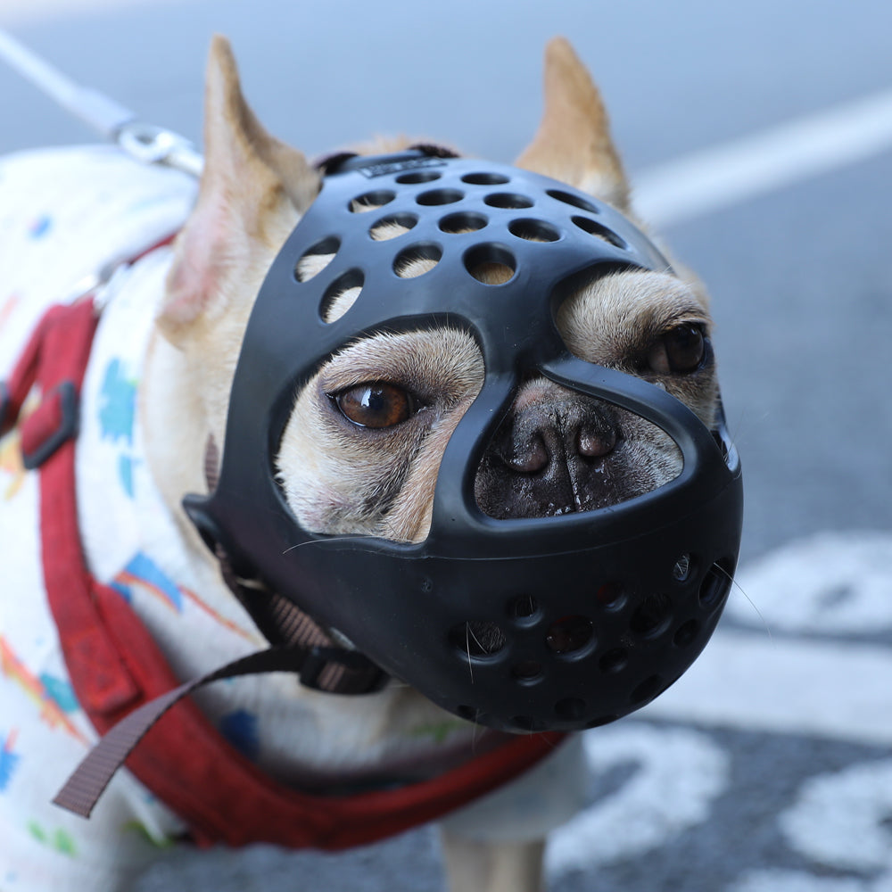 Breathable Anti-bite Muzzle