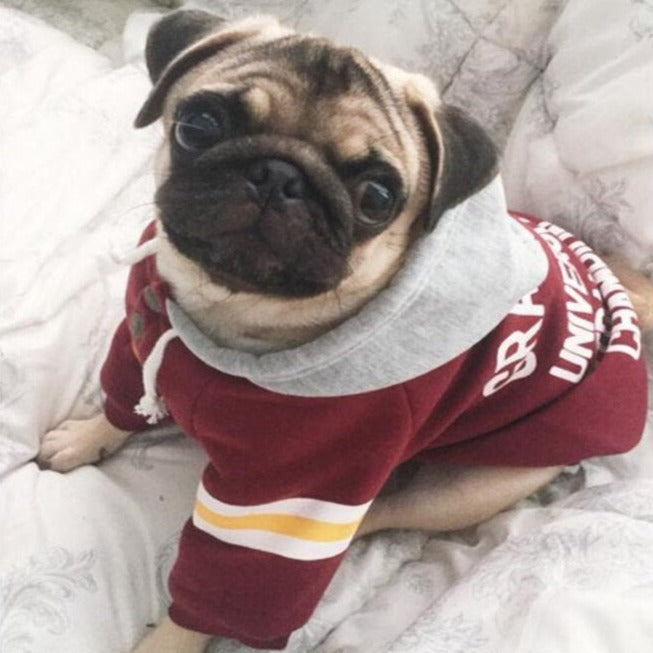 Pet Champs Sweatshirt
