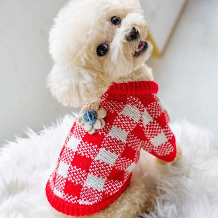 Floral Pet Knit 