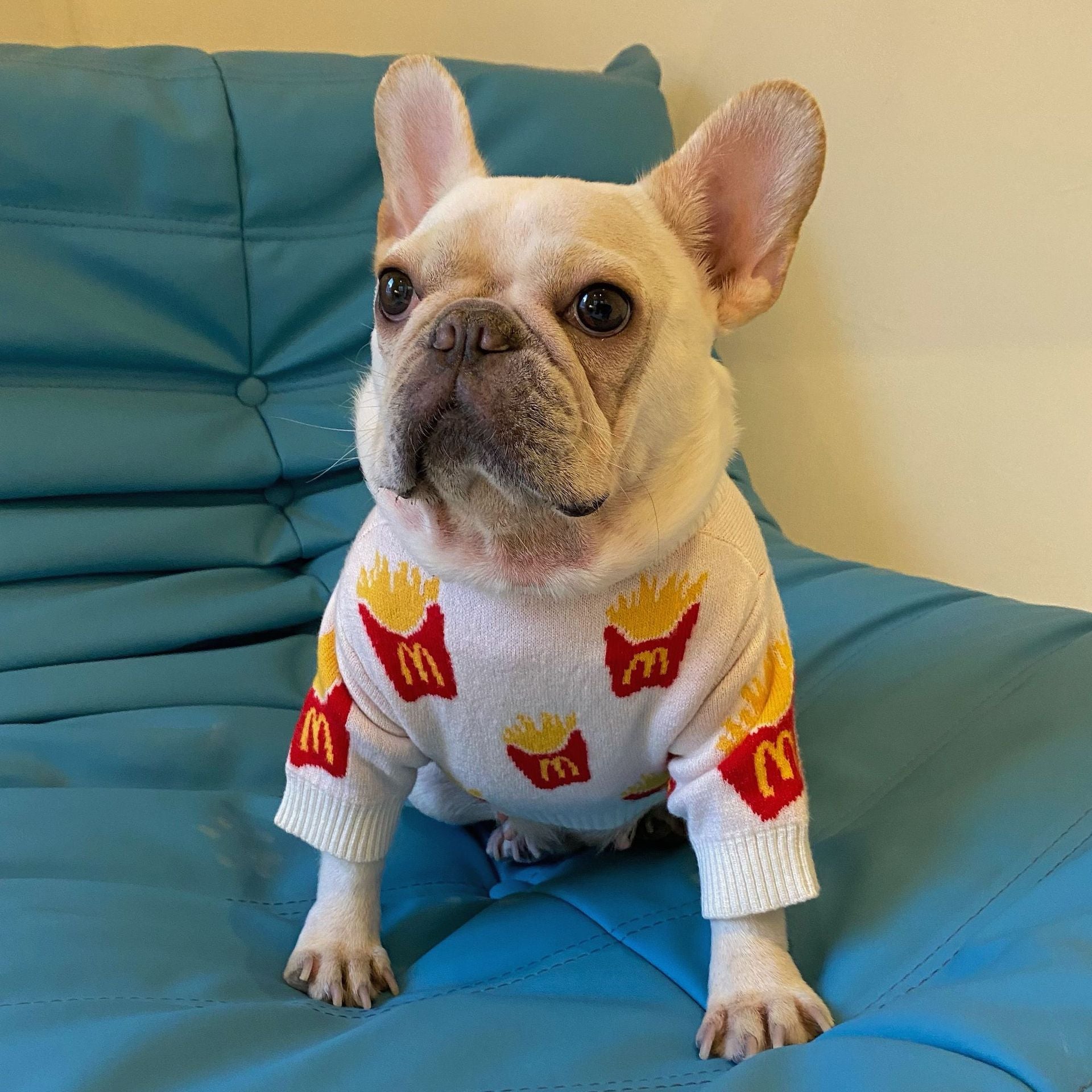 Tricot Pet Batatinha
