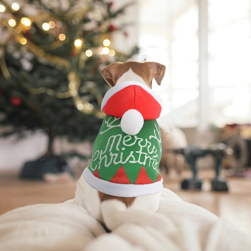 Pet Merry sweatshirt