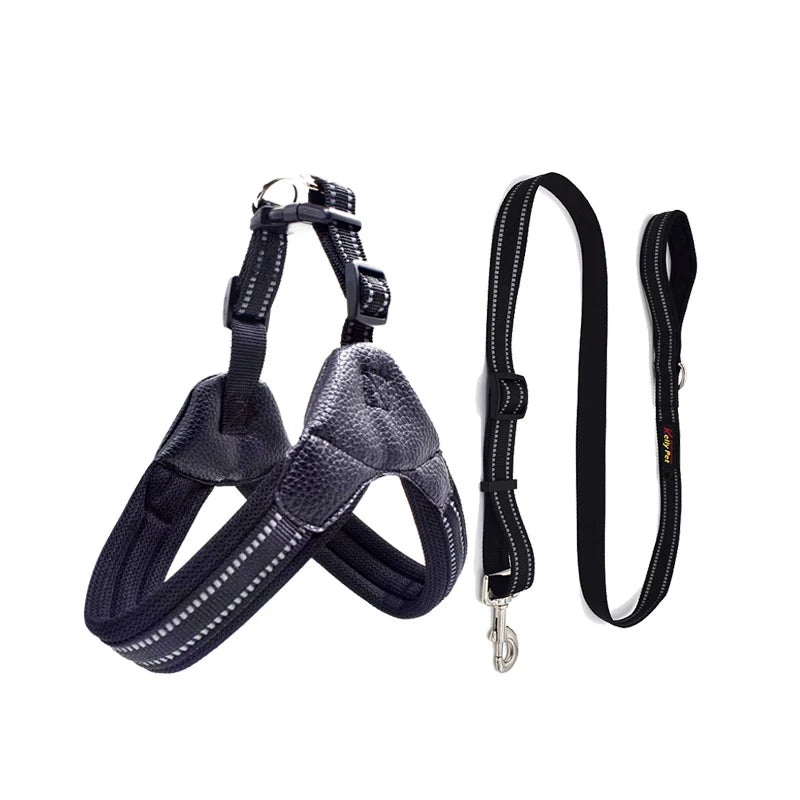 Pet Routice Leather Collar &amp; Leash