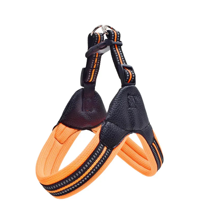 Pet Routice Leather Collar &amp; Leash