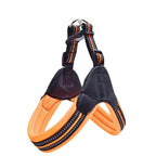 Pet Routice Leather Collar &amp; Leash