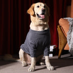 Knitted Pet Large Bear