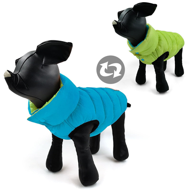 Colorful Double-Sided Pet Vest