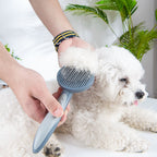 Pet Stiff Brush