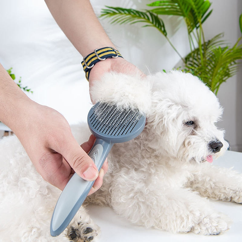 Pet Stiff Brush
