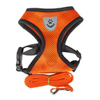 Pet Bunit Collar &amp; Leash