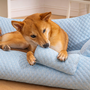 Cama com Resfriamento de Seda Gelada para Pet Lavável e Respirável Sofá-cama para Cão