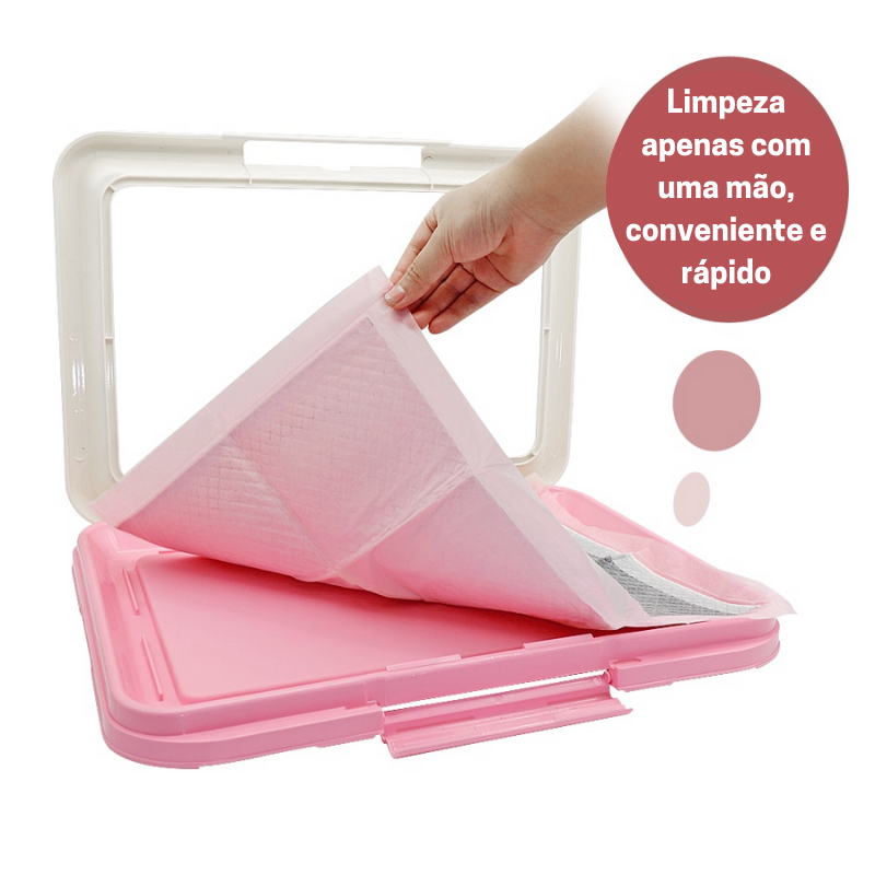 Clean Hygienic Toilet