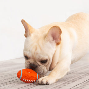 Brinquedo Bola Super Resistente para Pets