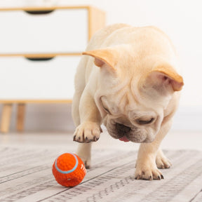 Brinquedo Bola Super Resistente para Pets