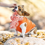 Interactive Plush Toy LagoCroc™