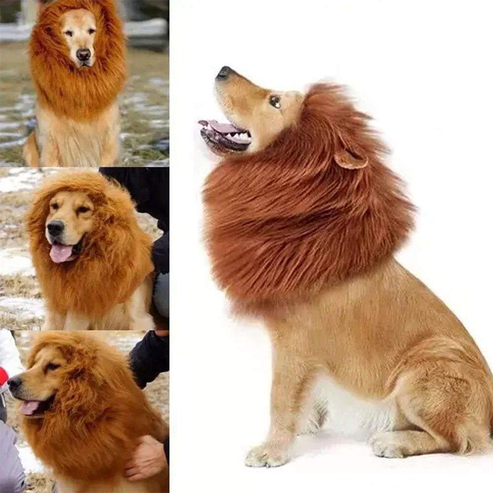 Fantasia Lion Pet