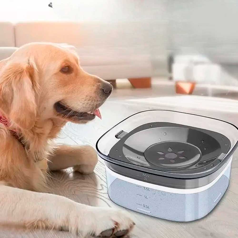 Bebedouro Cão Inteligente