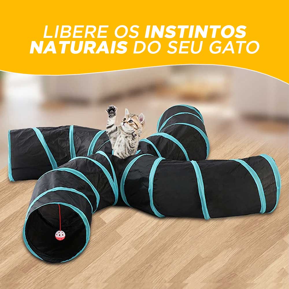 Túnel Para Gato Múltiplas Saídas