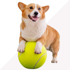 Durable Tennis Ball Toy for Dogs