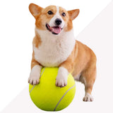 Durable Tennis Ball Toy for Dogs