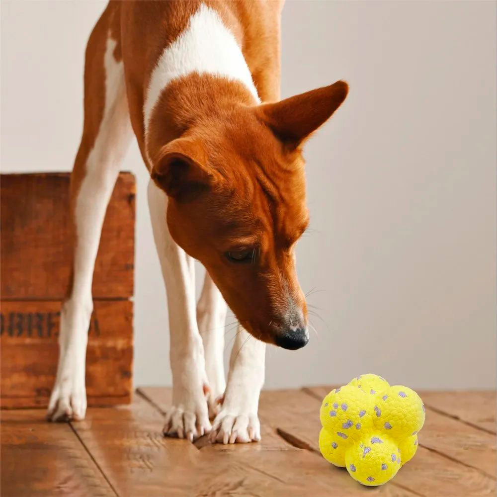Bola Anti-Stress Pet Coleção Strong