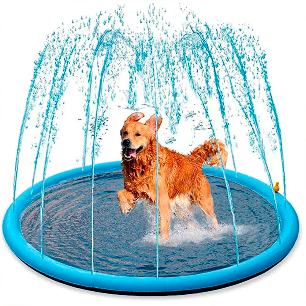 Piscina para Cachorro Chafariz