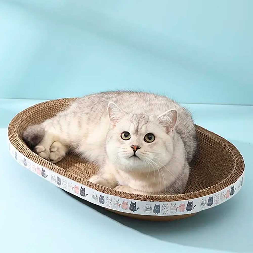 Cama Arranhador Ecológico Para Gato