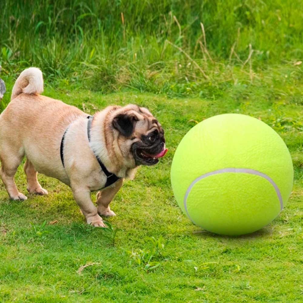 Durable Tennis Ball Toy for Dogs