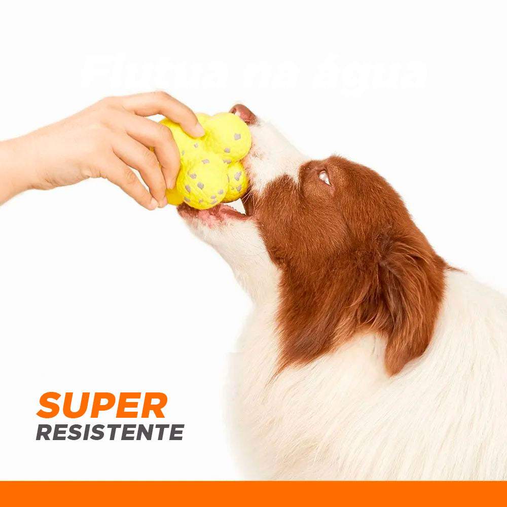 Bola Anti-Stress Pet Coleção Strong