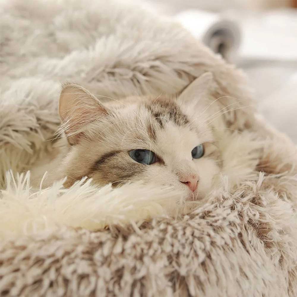 Cama Toca de Pelúcia para Gatos