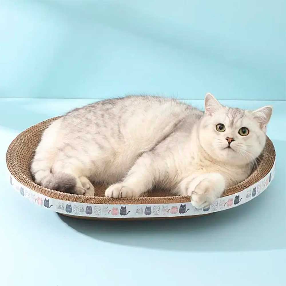 Cama Arranhador Ecológico Para Gato