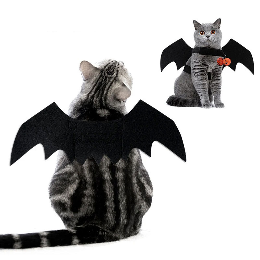 Fantasia de Morcego para Gato
