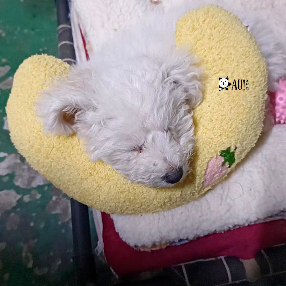 Travesseiro Calmante Pet