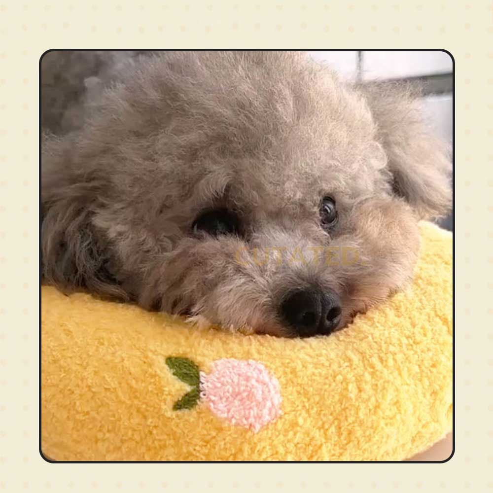 Travesseiro Calmante Pet