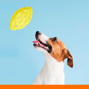 Coleção Strong Rugby Pet Ball