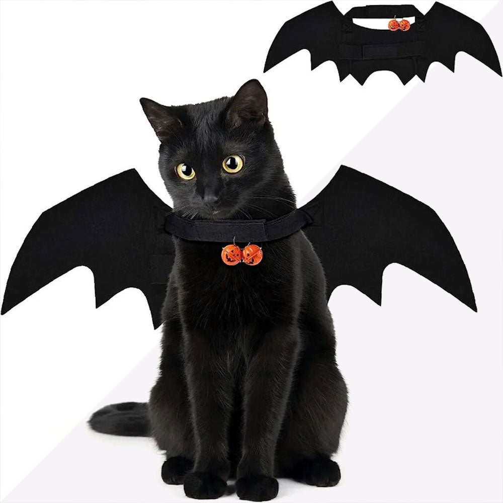 Fantasia de Morcego para Gato