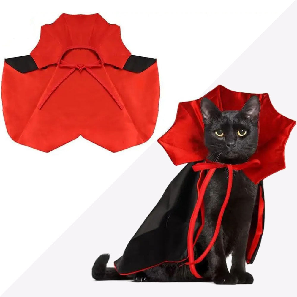 Fantasia de Drácula para Gato