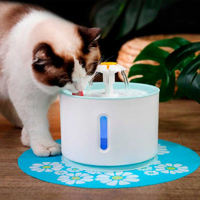 Bebedouro Gato Automático