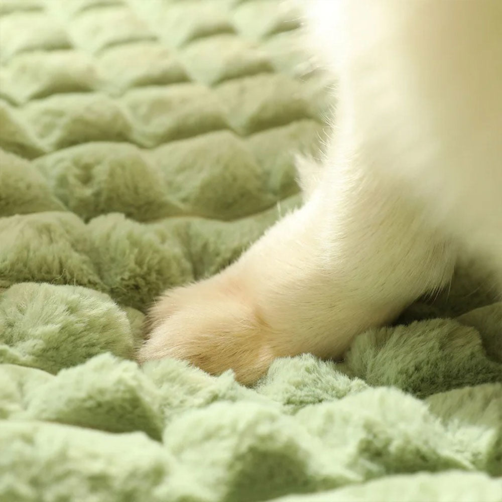 Cama Pet Luxo
