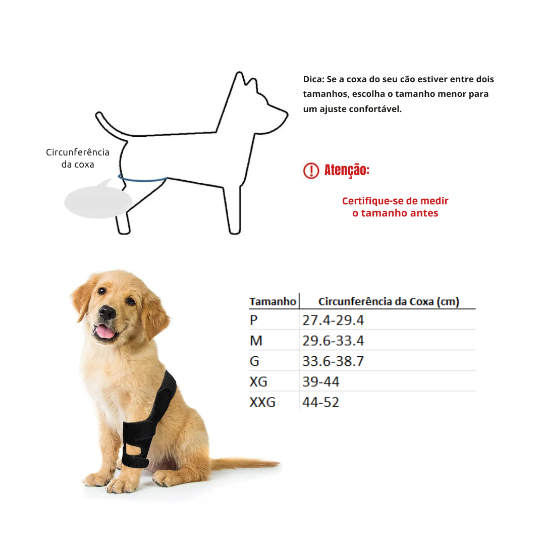 Cinta Suporte para Articulação e Joelho de Cachorros com Dificuldade de Caminhar