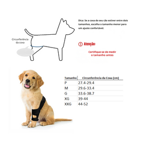 Cinta Suporte para Articulação e Joelho de Cachorros com Dificuldade de Caminhar