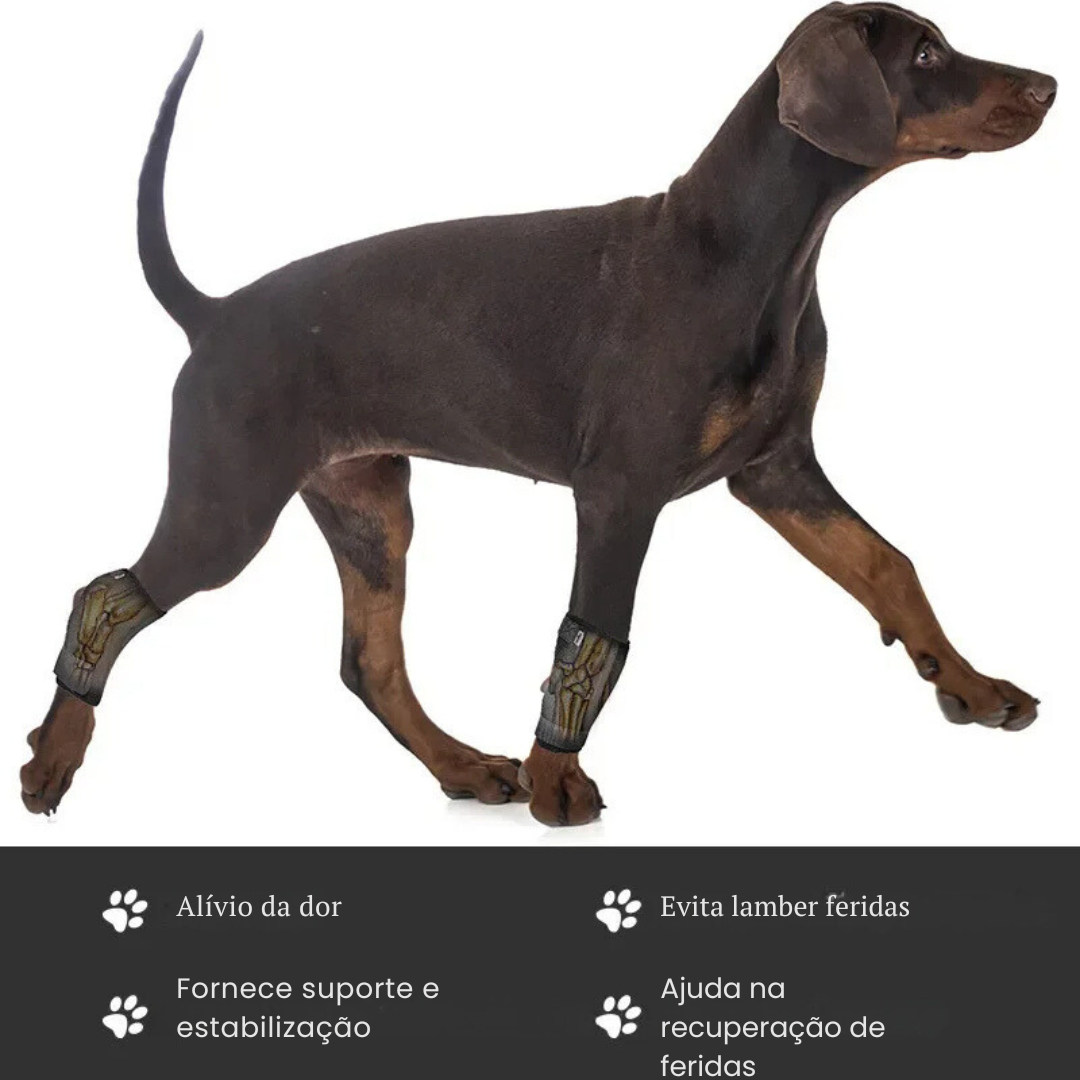 Cinta Suporte para Articulação e Joelho de Cachorros com Dificuldade de Caminhar