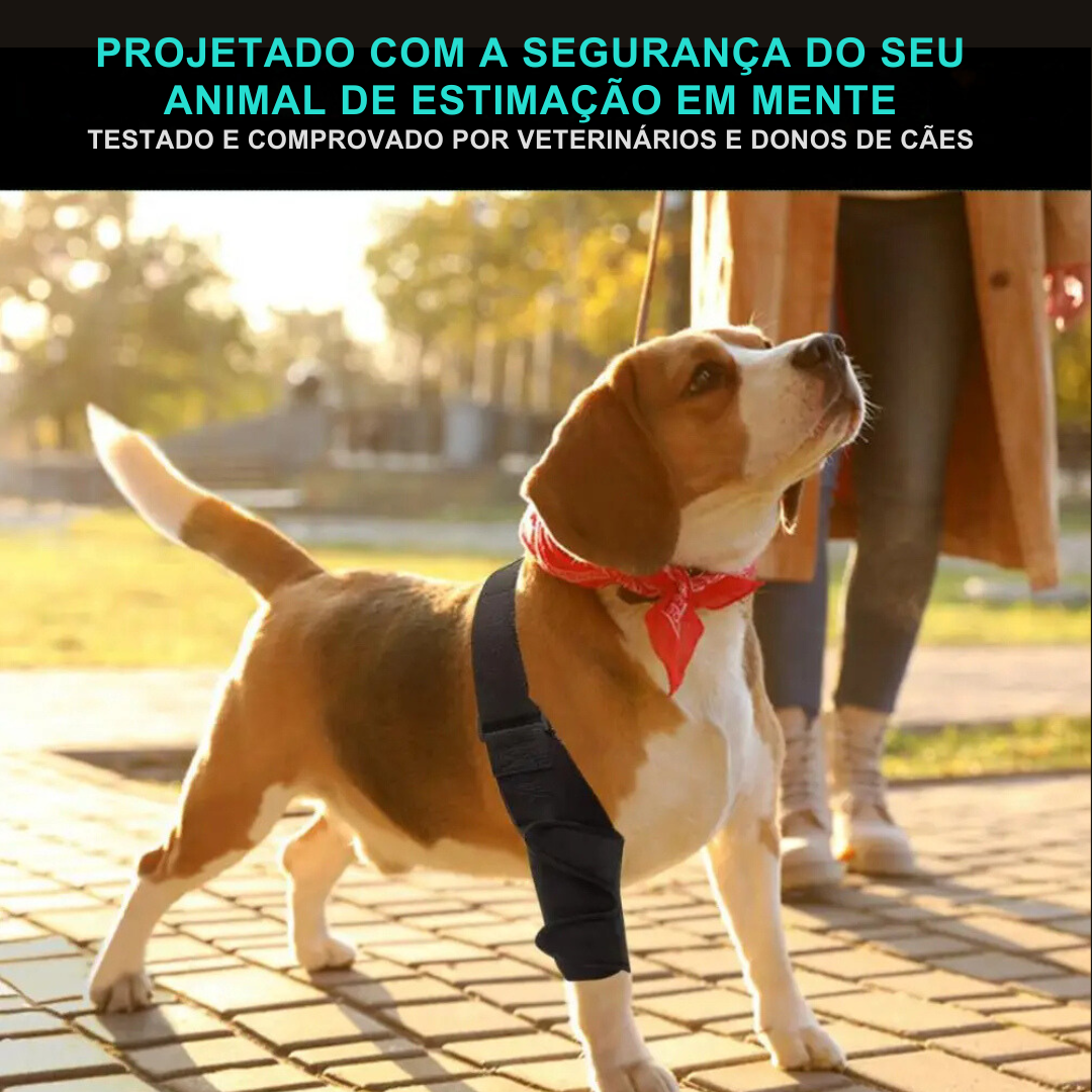 Cinta Suporte Patas Traseiras para Cachorros com Lesões Artrite Dificuldade de Andar